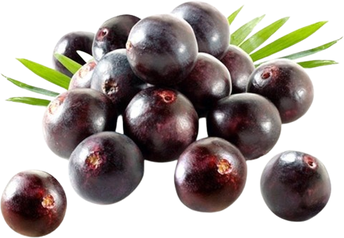 açai fruta